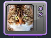 Mystery Pic image