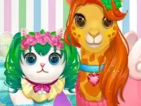 Funy Pet Haircut image