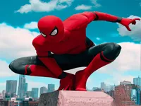sipderman skate image