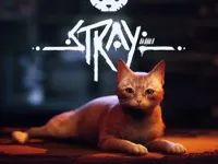 Stray image